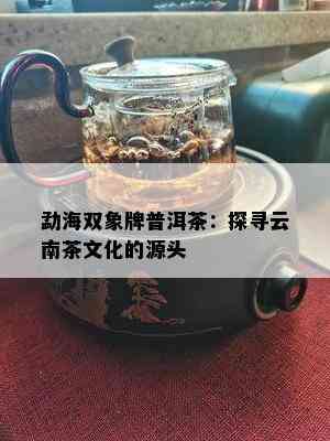 勐海双象牌普洱茶：探寻云南茶文化的源头