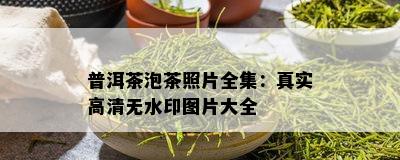 普洱茶泡茶照片全集：真实高清无水印图片大全