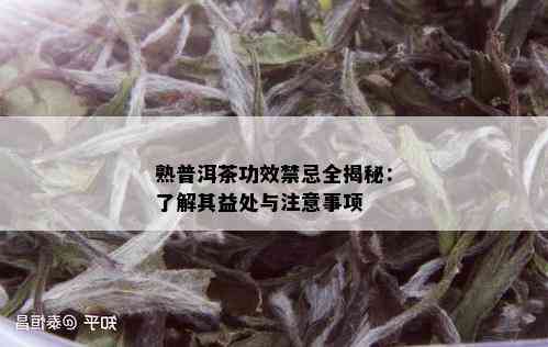 熟普洱茶功效禁忌全揭秘：了解其益处与注意事项