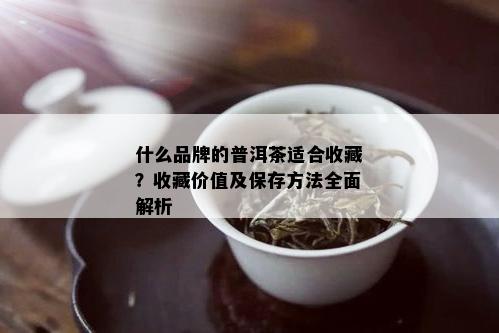 什么品牌的普洱茶适合收藏？收藏价值及保存方法全面解析