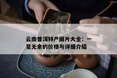 云南普洱特产图片大全：一览无余的价格与详细介绍