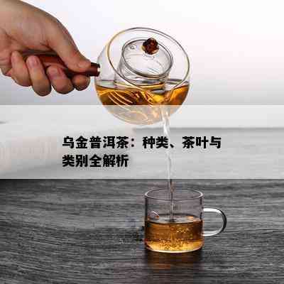 乌金普洱茶：种类、茶叶与类别全解析