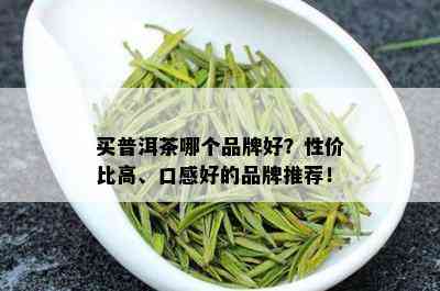 买普洱茶哪个品牌好？性价比高、口感好的品牌推荐！