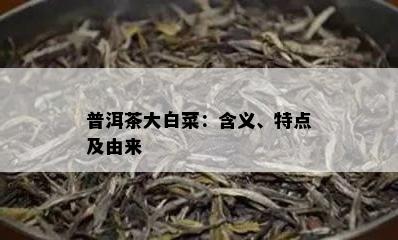 普洱茶大白菜：含义、特点及由来