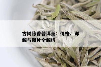 古树陈香普洱茶：价格、详解与图片全解析