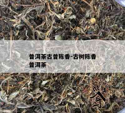 普洱茶古普陈香-古树陈香普洱茶