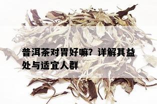 普洱茶对胃好嘛？详解其益处与适宜人群