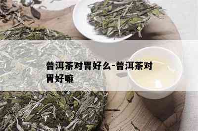 普洱茶对胃好么-普洱茶对胃好嘛