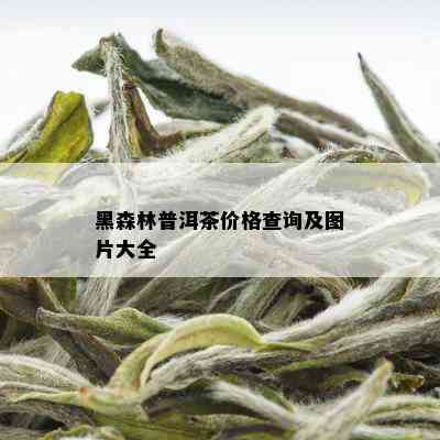 黑森林普洱茶价格查询及图片大全