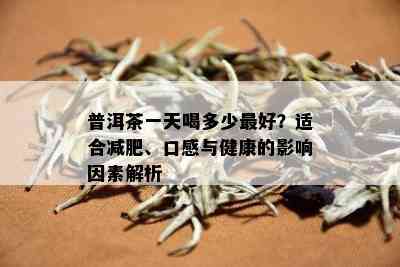 普洱茶一天喝多少更好？适合减肥、口感与健康的影响因素解析