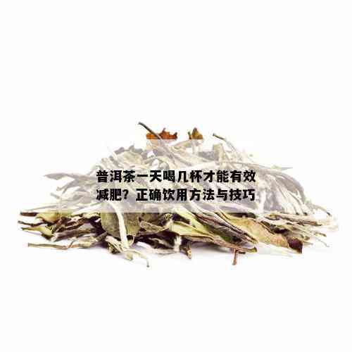 普洱茶一天喝几杯才能有效减肥？正确饮用方法与技巧