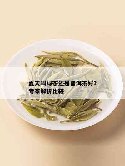 夏天喝绿茶还是普洱茶好？专家解析比较