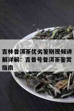 吉林普洱茶优劣鉴别视频讲解详解：吉普号普洱茶鉴赏指南