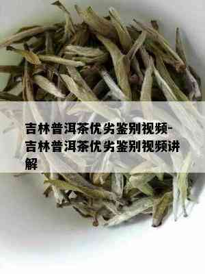 吉林普洱茶优劣鉴别视频-吉林普洱茶优劣鉴别视频讲解