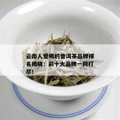 云南人爱喝的普洱茶品牌排名揭晓：前十大品牌一网打尽！