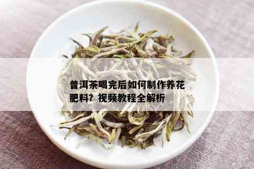 普洱茶喝完后如何制作养花肥料？视频教程全解析