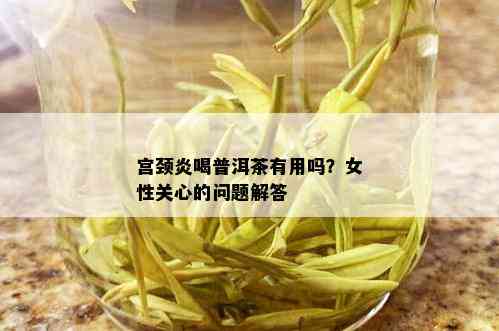 宫颈炎喝普洱茶有用吗？女性关心的问题解答