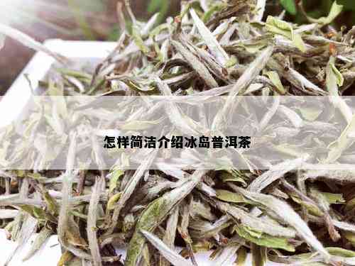 怎样简洁介绍冰岛普洱茶