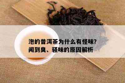 泡的普洱茶为什么有怪味？闻到臭、骚味的原因解析