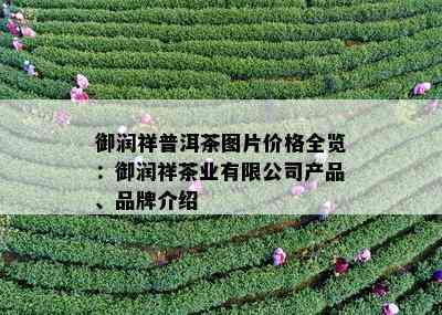 御润祥普洱茶图片价格全览：御润祥茶业有限公司产品、品牌介绍