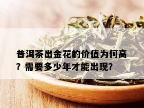 普洱茶出金花的价值为何高？需要多少年才能出现？