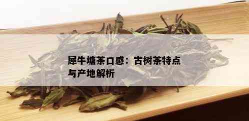 犀牛塘茶口感：古树茶特点与产地解析