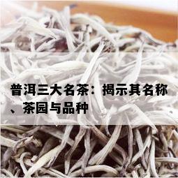 普洱三大名茶：揭示其名称、茶园与品种