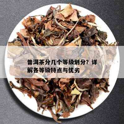 普洱茶分几个等级划分？详解各等级特点与优劣