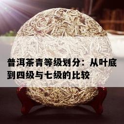 普洱茶青等级划分：从叶底到四级与七级的比较