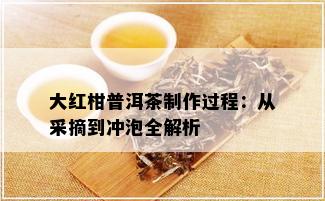 大红柑普洱茶制作过程：从采摘到冲泡全解析