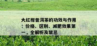 大红柑普洱茶的功效与作用：价格、区别、减肥效果之一，全解析及禁忌