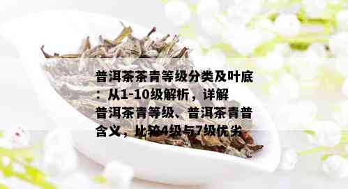 普洱茶茶青等级分类及叶底：从1-10级解析，详解普洱茶青等级、普洱茶青普含义，比较4级与7级优劣