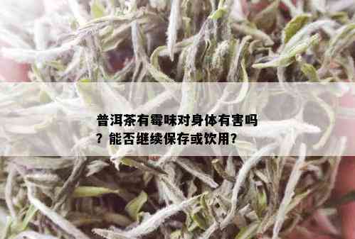 普洱茶有霉味对身体有害吗？能否继续保存或饮用？