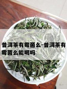 普洱茶有霉菌么-普洱茶有霉菌么能喝吗