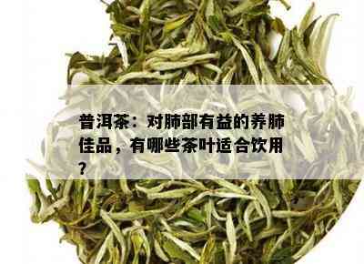 普洱茶：对肺部有益的养肺佳品，有哪些茶叶适合饮用？