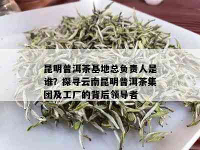 昆明普洱茶基地总负责人是谁？探寻云南昆明普洱茶集团及工厂的背后领导者