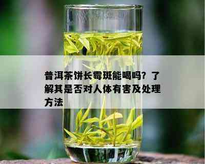 普洱茶饼长霉斑能喝吗？了解其是否对人体有害及处理方法