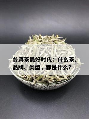 普洱茶更好时代：什么茶、品牌、类型，都是什么？