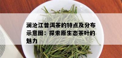 澜沧江普洱茶的特点及分布示意图：探索原生态茶叶的魅力