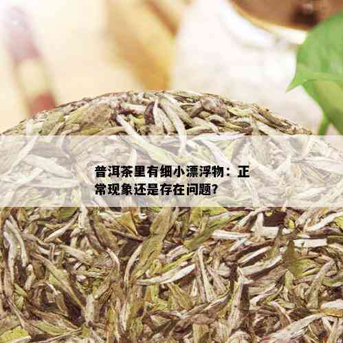 普洱茶里有细小漂浮物：正常现象还是存在问题？