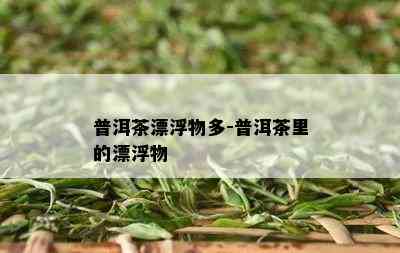 普洱茶漂浮物多-普洱茶里的漂浮物