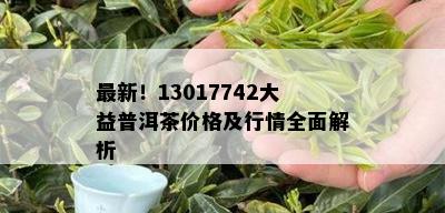 最新！13017742大益普洱茶价格及行情全面解析