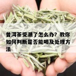 普洱茶受潮了怎么办？教你如何判断是否能喝及处理方法