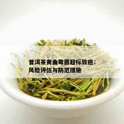 普洱茶黄曲霉菌超标致癌：风险评估与防范措施