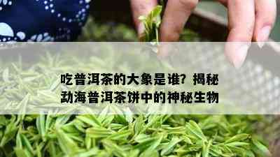 吃普洱茶的大象是谁？揭秘勐海普洱茶饼中的神秘生物