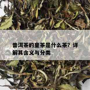 普洱茶的皇茶是什么茶？详解其含义与分类