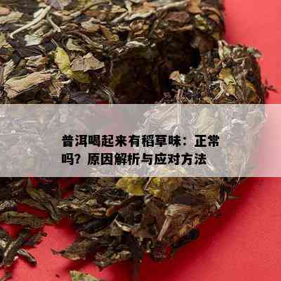 普洱喝起来有稻草味：正常吗？原因解析与应对方法