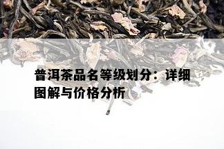 普洱茶品名等级划分：详细图解与价格分析