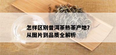 怎样区别普洱茶熟茶产地？从图片到品质全解析