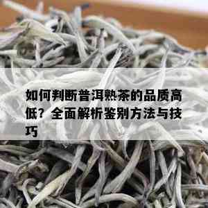 如何判断普洱熟茶的品质高低？全面解析鉴别方法与技巧